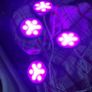 LED lights Image 4