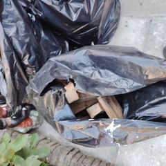 Fire wood for free