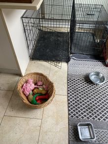 large dog crate
