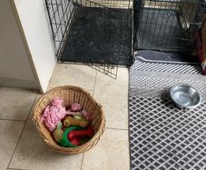 large dog crate