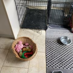 large dog crate