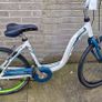 adult Bike Image 2