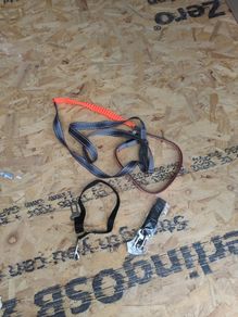 dog running leash and 2 seatbelts