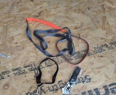 dog running leash and 2 seatbelts