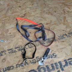 dog running leash and 2 seatbelts
