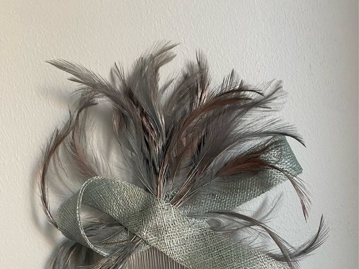 Mother of the Bride/Groom/Shoes Bag and Fascinator
