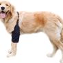 Dog Surgery Recovery Sleeve for Front Legs, Pet Prevent Licking Wound Elbow Brace Protector Dogs Hip Joint Protector Recovery Sleeves(Black,XL Image 3