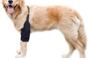 Dog Surgery Recovery Sleeve for Front Legs, Pet Prevent Licking Wound Elbow Brace Protector Dogs Hip Joint Protector Recovery Sleeves(Black,XL