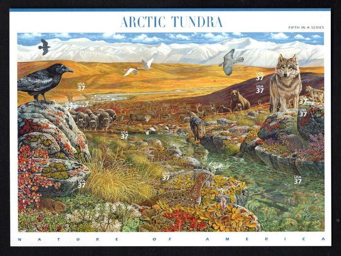 2003 USA American Nature of America : Arctic Tundra Commemorative Stamps Sheet Mint Never Hinged (MNH)