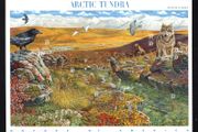 2003 USA American Nature of America : Arctic Tundra Commemorative Stamps Sheet Mint Never Hinged (MNH)