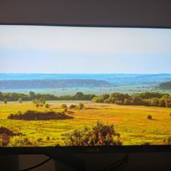 Monitor 24 Inch 180hz Fullhd Asus Tuf Gaming Vg249ql3a