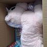 Unicorn toys and Elsa tonies - brand new Image 4