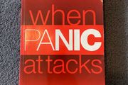 When Panic Attacks: How to take control of anxiety and panic by Dr Aine Tubridy