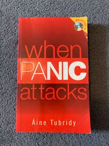 When Panic Attacks: How to take control of anxiety and panic by Dr Aine Tubridy