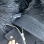 The Kooples Wool Duffle Coat with Fur Hood Image 5