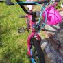 Girls Bike BMX Image 4
