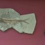 Fossilized prehistoric fish / fossilized wood and ammonite, shark teeth. In display frame. Image 5
