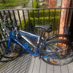 Trek FX2 Bike