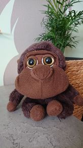Brown Sitting Monkey