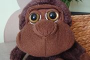 Brown Sitting Monkey