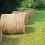 Hay for sale, delivery available locally Image 2