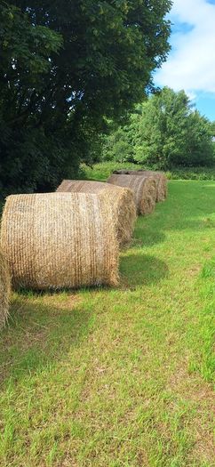 Hay for sale, delivery available locally