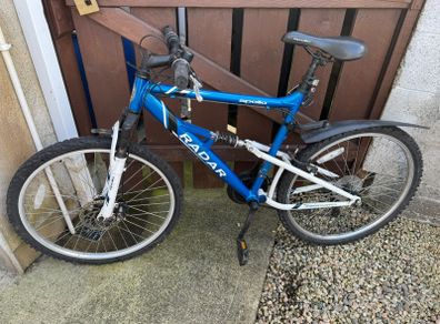 20 inch bike