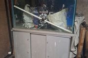 large Fish Tank