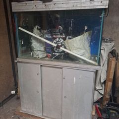 large Fish Tank