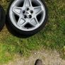 Land Rover Mondials Image 5