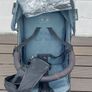 Buggy Image 2