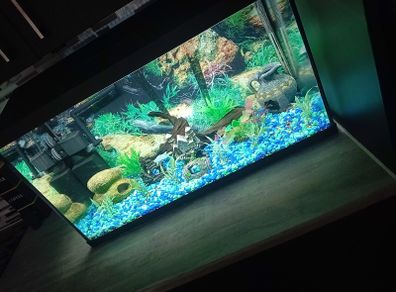 fish tank