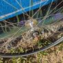 Fixie rear wheel, Fixed gear, single speed. Image 2