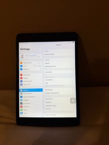 iPad mini 2