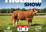 Limousin Sale of Heifers