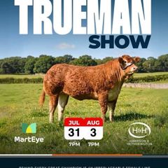 Limousin Sale of Heifers
