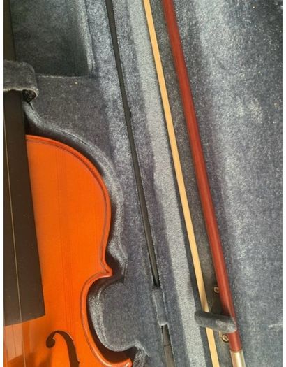 violin