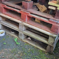 Pallet wood for fire place