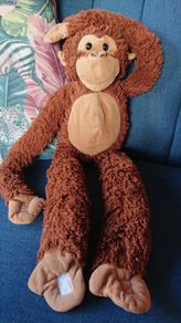 Hanging Monkey