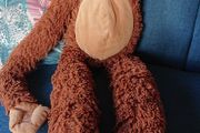 Hanging Monkey