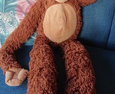 Hanging Monkey