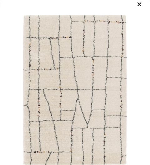 Moroccan Berber Style Rug from Wayfair Brand new