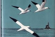Cape Clear - The Natural History Of Cape Clear - Wexford - Very Scarce - Rare