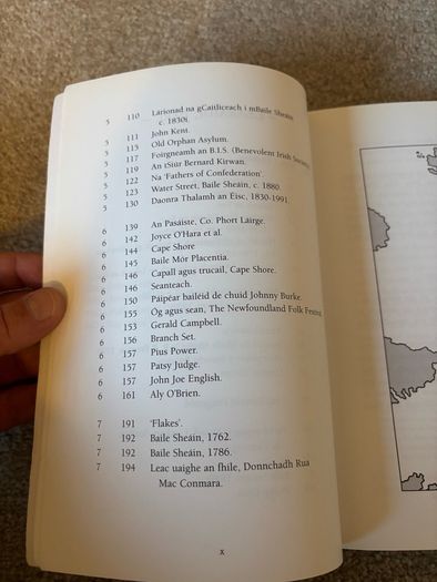 Na Gaeil i dTalamh an Eisc 1998 book by Aidan O hEadhra