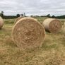 2026/25 hay for sale Image 3