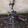 Apollo Xc.60 S ladies mountain bike Image 3