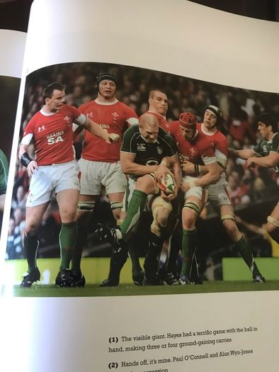 Ireland's Grand Slam 2009