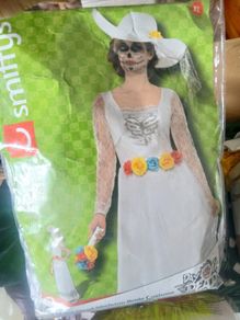 ladies Halloween costume