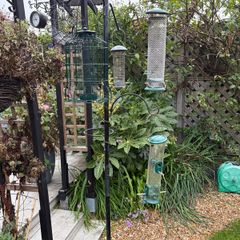 Bird Feeders x5 , Stand and various feed.