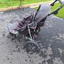 Double out n about buggy Image 2